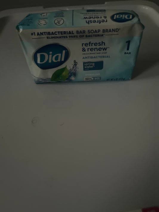 Dial Soap Single