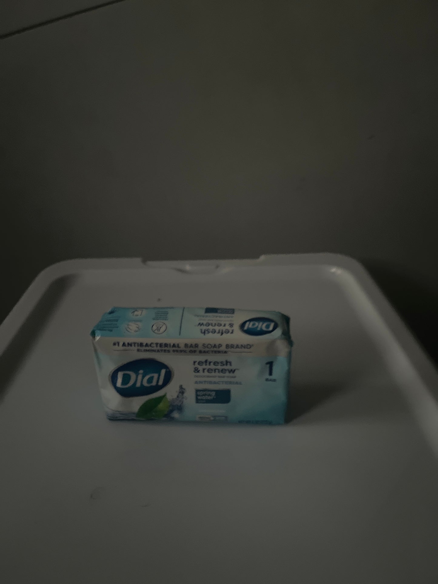 Dial Soap Single